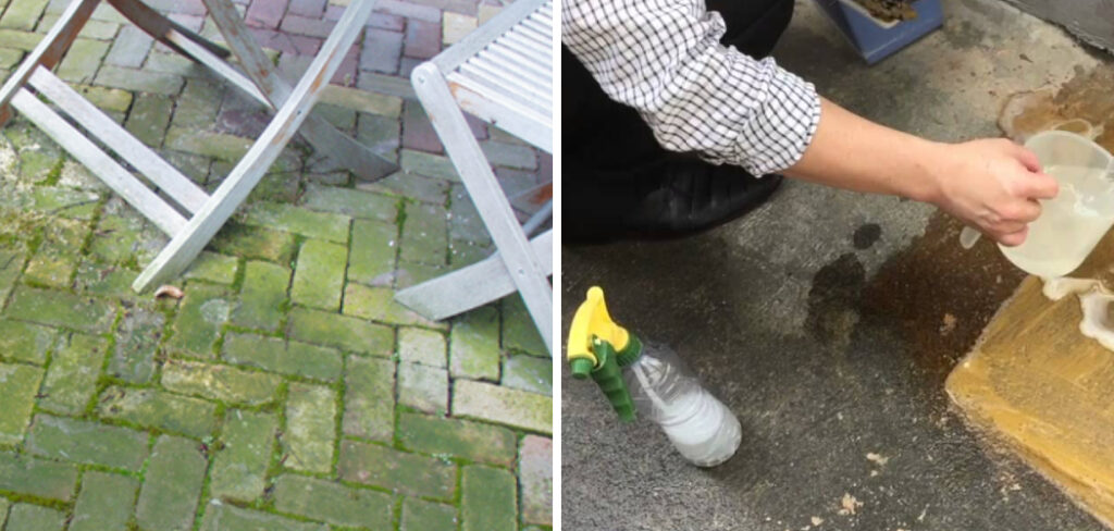 How to Remove Algae From Terrace Floor